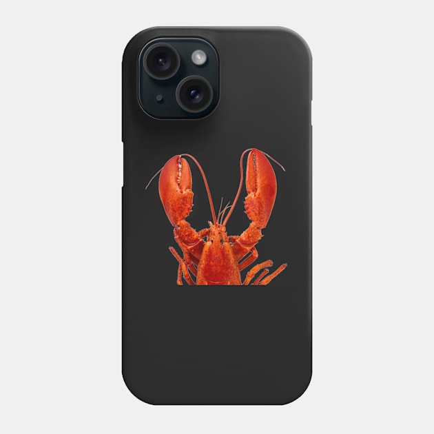 Atlantic Lobster 2 Phone Case by onepony