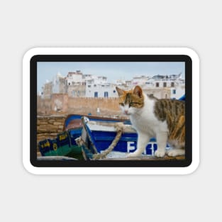 Maroc - Chat d'Essaouira Magnet