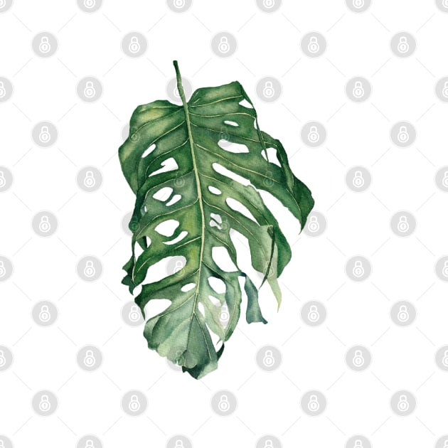 Tropical Monstera Leaf by InnaPatiutko