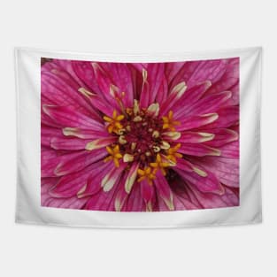 zinnia flower bloom floral fantasy in pink Tapestry