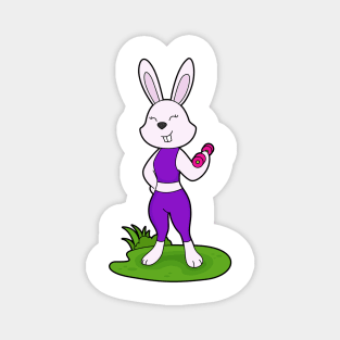 Rabbit Fitness Dumbbell Magnet