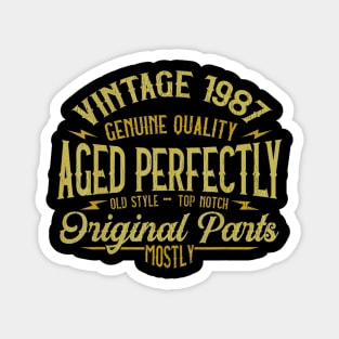 Vintage 1987 33nd Birthday 33 Years Old Gift Magnet