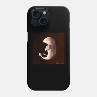 Dolphin Embryo Phone Case