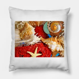 SeaShells... Pillow