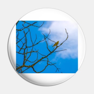 Yellow Bird Pin