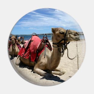 Camel train Pin