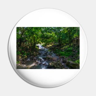 Nature Scene Pin