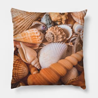 Summer Seashells Beach Travel Caribbean Yoga Relax Pillow