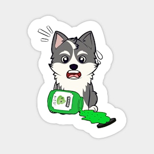 Funny husky Dog Spilled Wasabi Sauce Magnet