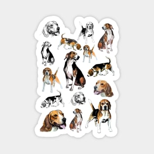 beagle Magnet