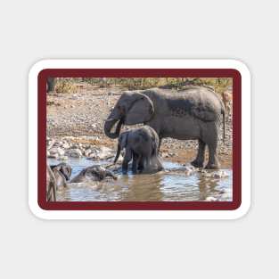 Namibia. Etosha National Park. Baby Elephant Having Fun in the Water. Magnet