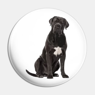 Black Cane Corso Dog Pin