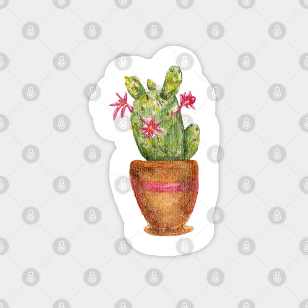 Watercolor cactus Magnet by lisenok