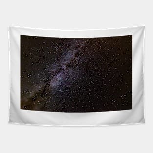 The Milky Way Tapestry