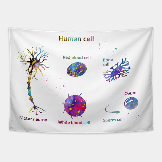 Human cell Tapestry by erzebeth