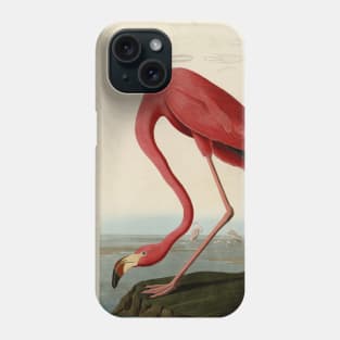 American Flamingo - The Birds of America Phone Case