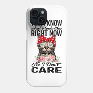 Cat Dont Care Phone Case