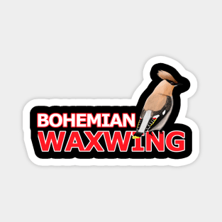 jz.birds Waxwing Bird Watching Birding Desing Magnet