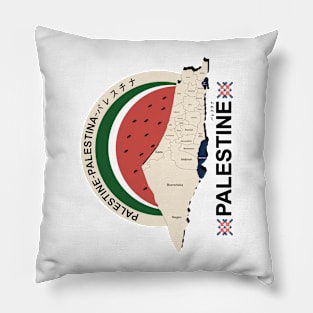 we stand with palestine Pillow