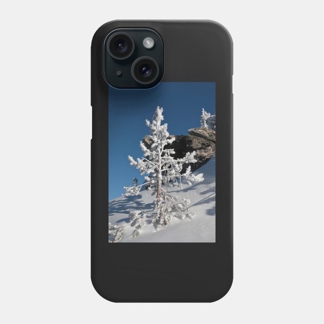 Snow covered Coniferous tree on a hill in winter season. Phone Case by ikshvaku