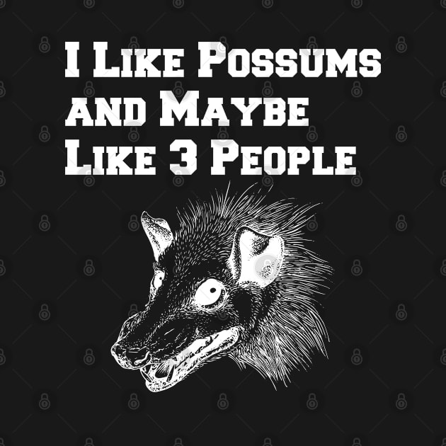 I Like Possums And Maybe Like 3 People, Funny Opossum by lightbulbmcoc