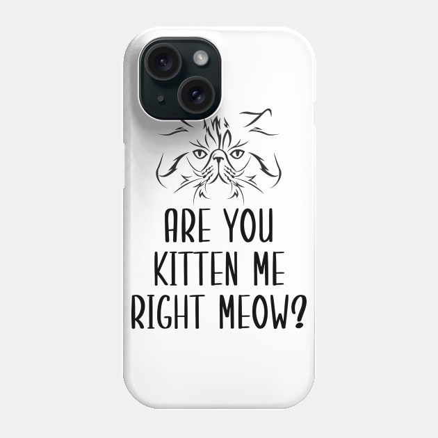 Are You Kitten Me Right Meow Phone Case by Health