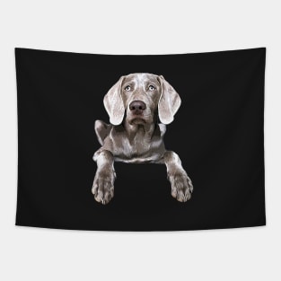 Weimaraner Tapestry