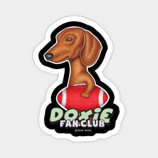 Cute Brown Doxie dog Holding red Football Magnet