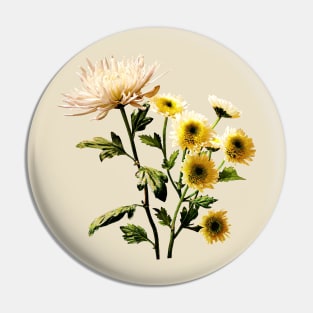 Chrysanthemums - Mums Medley Pin