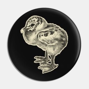 bird baby Pin