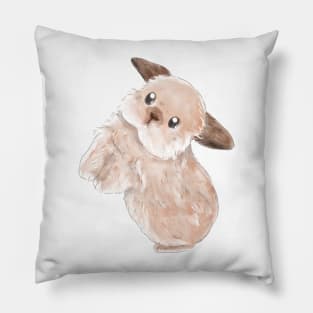 Give me Food Rabbit Pillow