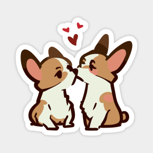 Two corgi dogs love Magnet