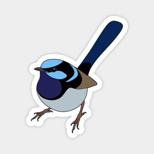 Superb Fairy Wren Magnet