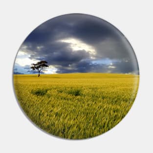 Stormy Australian Rural Landscape Pin