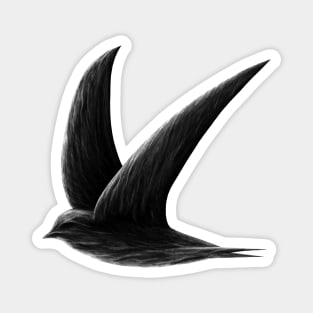 Swift bird design Magnet