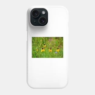 Glen Haven Wildflower Study 1 Phone Case