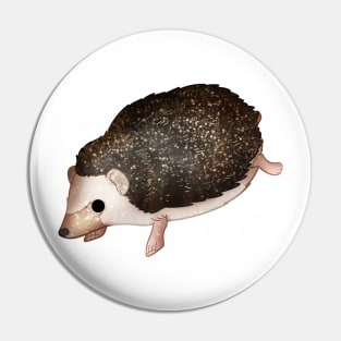 Cozy Hedgehog Pin