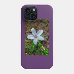 Woodland Wildflower Phone Case