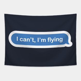 I can't, I'm flying facebook aviation plane design Tapestry