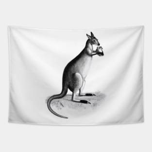 Kangaroo lowland king Tapestry