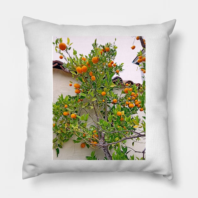 Monterey Flora Study 2 Pillow by bobmeyers