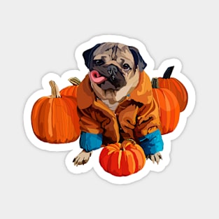 Pug & Pumpkins Magnet