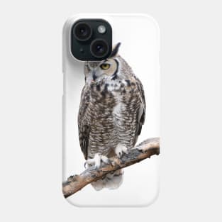 Great Horned Owl Photo Phone Case