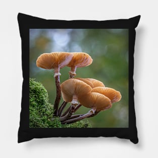 Honey Fungi Pillow