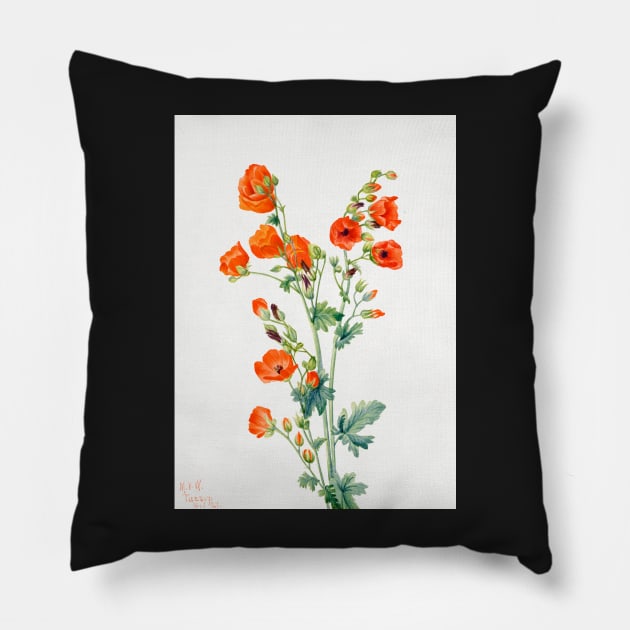 flowers painting, Scarlet Globe Mallow (1927) by Mary Vaux Walcott Pillow by T-SHIRT-2020