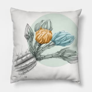 Colorful cactus flowers Pillow