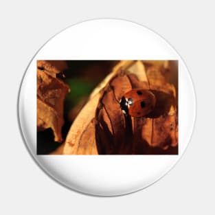 Ladybird on a chestnut leaf Pin