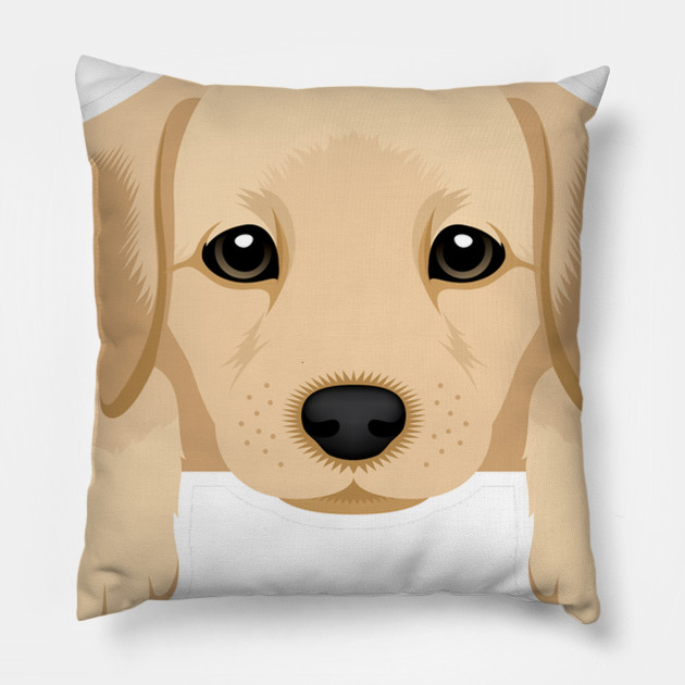 brine shrimp for betta fish