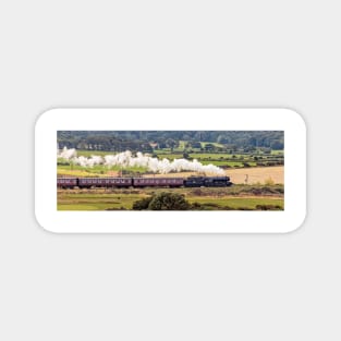 The Royal Norfolk Regiment Locomotive Magnet