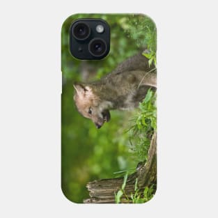 Timber Wolf Pup Phone Case